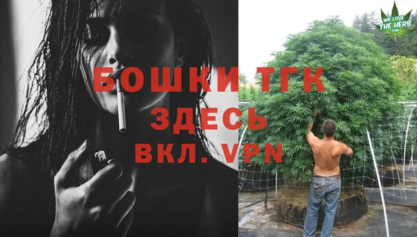 СК Ладушкин