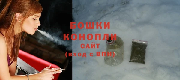 mix Богородицк