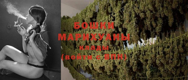 дживик Липки