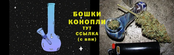 СК Ладушкин
